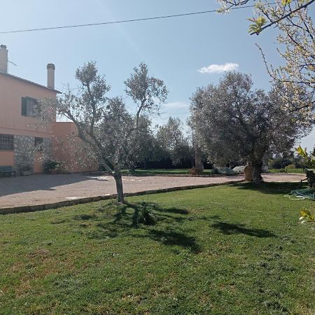 Villa In Campagna Tra Natura E Verde Montalto di Castro Exterior photo