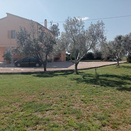 Villa In Campagna Tra Natura E Verde Montalto di Castro Exterior photo