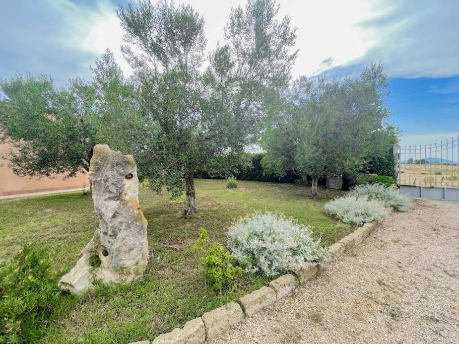 Villa In Campagna Tra Natura E Verde Montalto di Castro Exterior photo