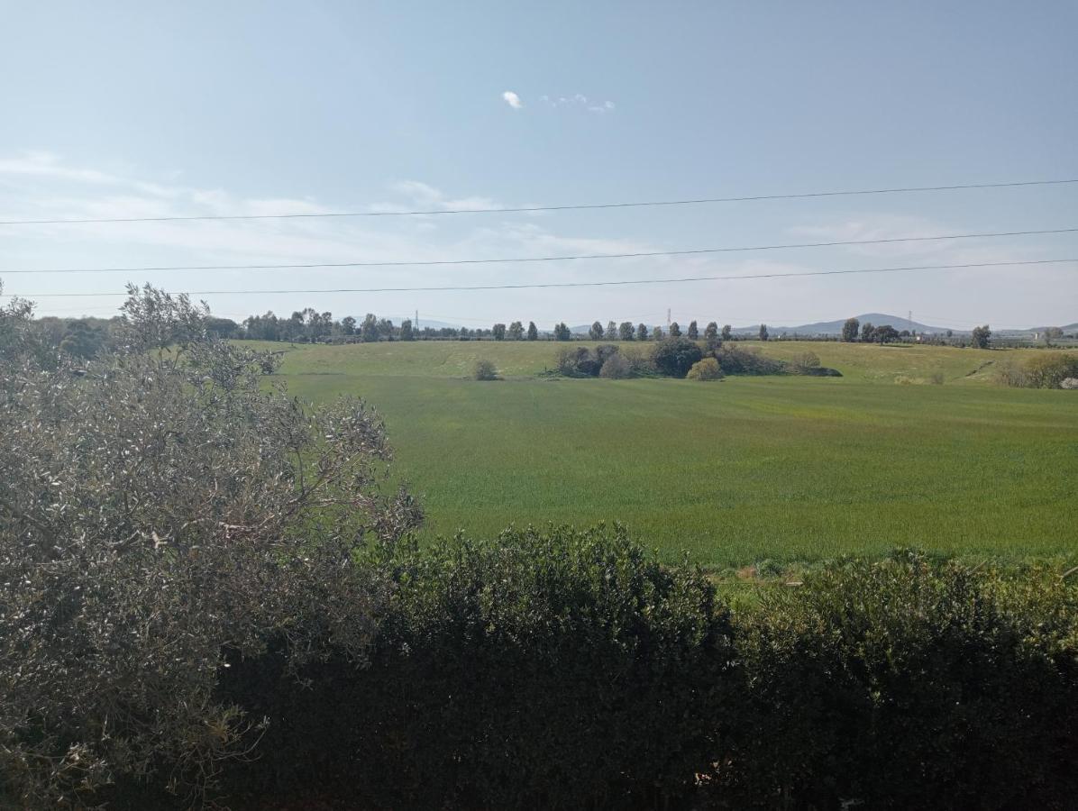 Villa In Campagna Tra Natura E Verde Montalto di Castro Exterior photo