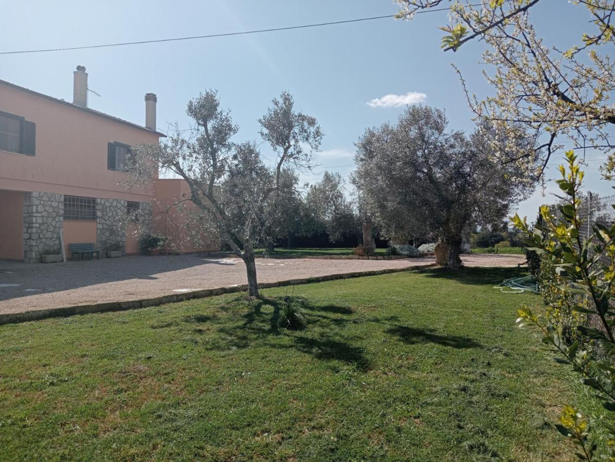 Villa In Campagna Tra Natura E Verde Montalto di Castro Exterior photo